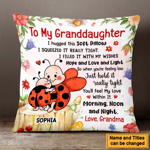 Gift For Granddaughter Hug This Lady Bug Pillow