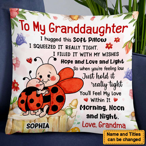 Gift For Granddaughter Hug This Lady Bug Pillow