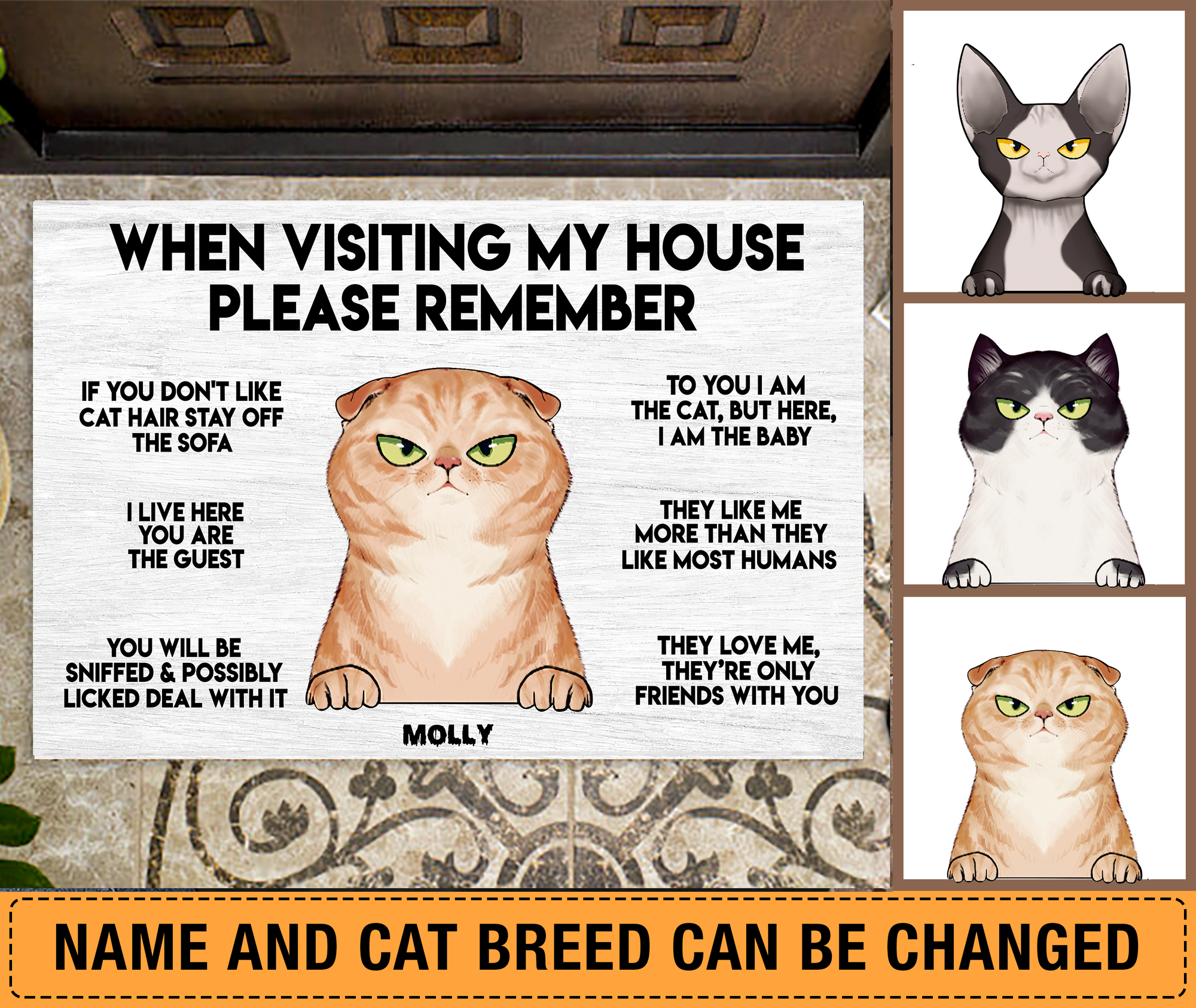 When Visit My House Please Remember Cat Personalized Doormat