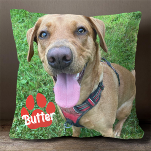Pet's Face On A Pillow - Personalized Pillow (Insert Included)