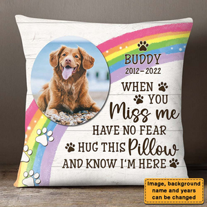 Gift For Loss Beloved Pet Hug This Pillow