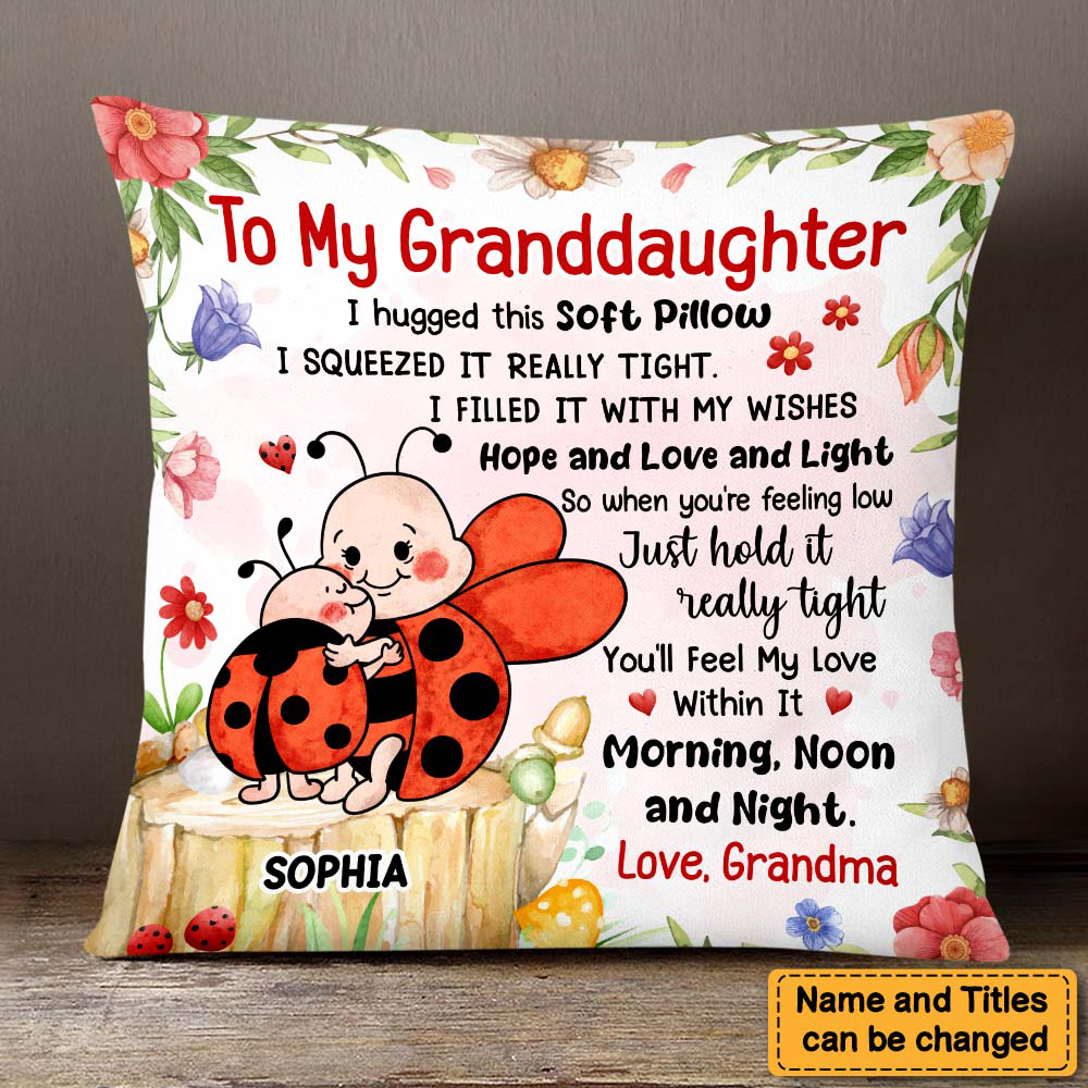 Gift For Granddaughter Hug This Lady Bug Pillow