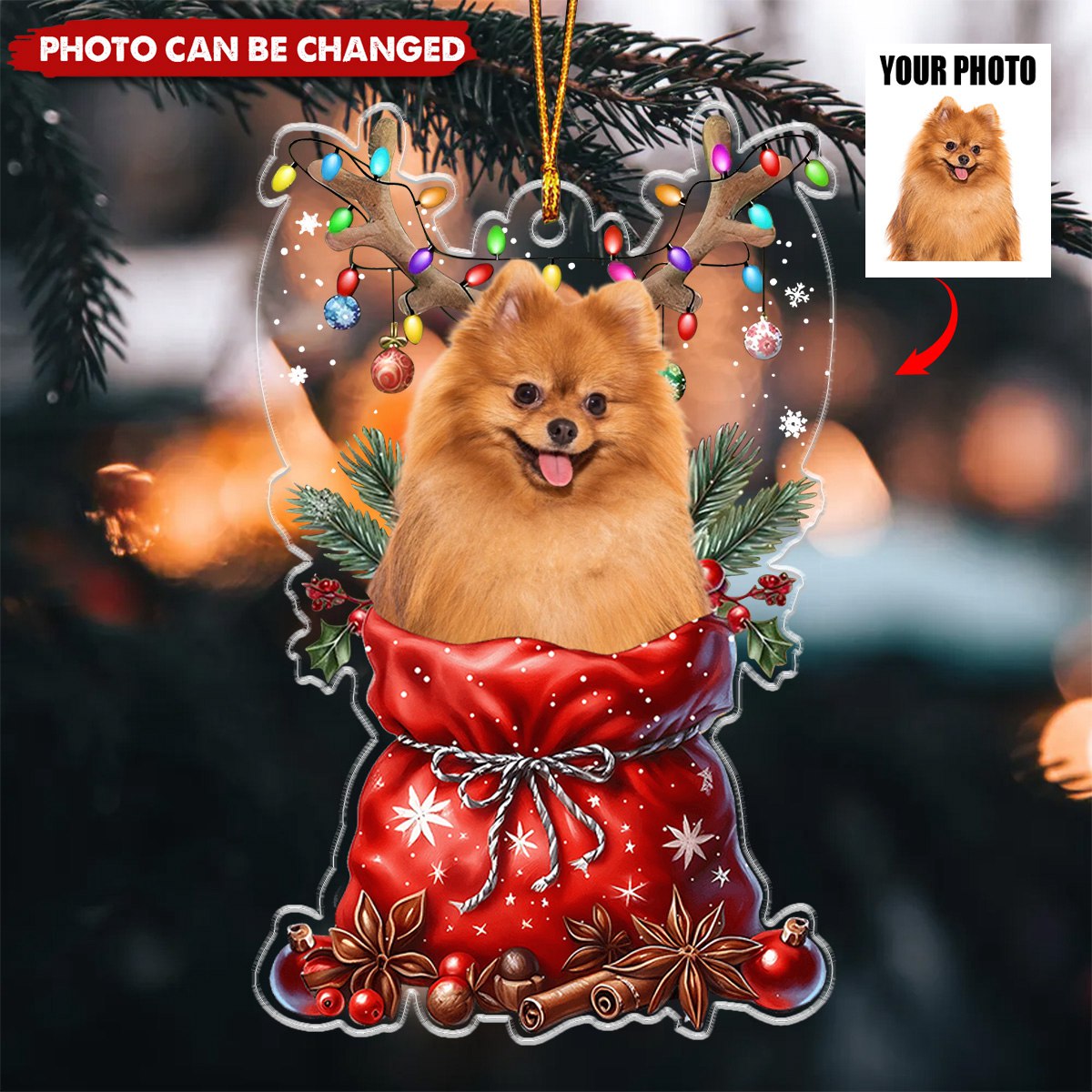 Peeking Pet Christmas - Personalized Acrylic Ornament