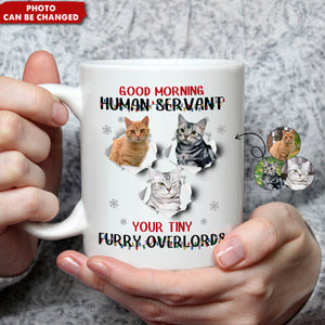 Good Morning Human Funny Style Christmas - Personalized Photo Mug