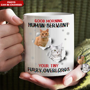 Good Morning Human Funny Style Christmas - Personalized Photo Mug