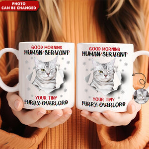 Good Morning Human Funny Style Christmas - Personalized Photo Mug