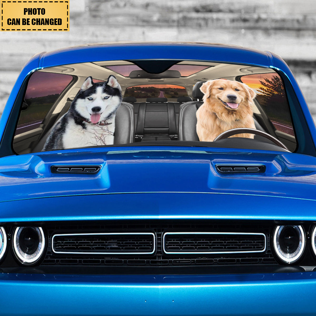 Custom Photo Have Fun Together - Dog & Cat Personalized Auto Windshield Sunshade, Car Window Protector