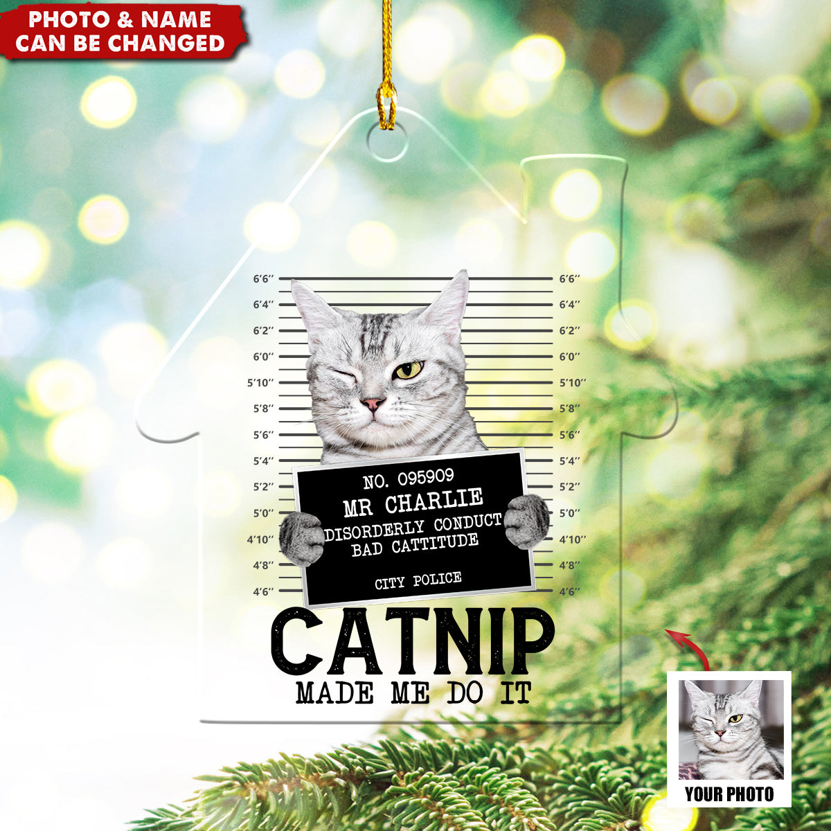 Custom Photo Cat Crimes Catnip Made Me Do It - Cat Personalized Acrylic Ornament