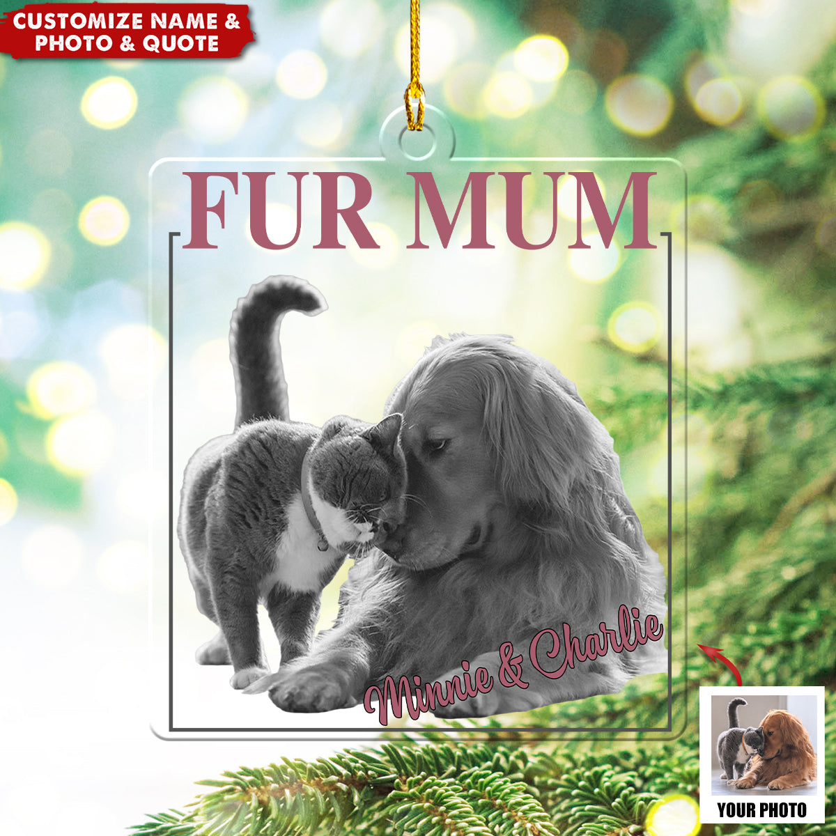 Custom Photo Let's Journey Together - Dog & Cat Personalized Acrylic Ornament - Gift For Pet Owners, Pet Lovers