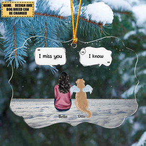Memorial Pet - Personalized Christmas ornament-With best buddies