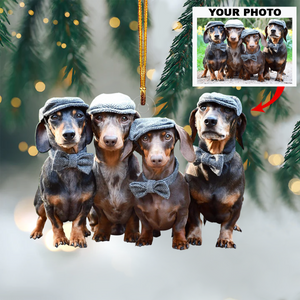 Customized Your Photo Mica Ornament - Customize Dog Lover Photo