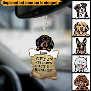 Personalized Dog Get In Car Acrylic Ornament