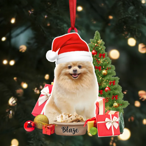 Dog Christmas Ornament - Personalized Ornament